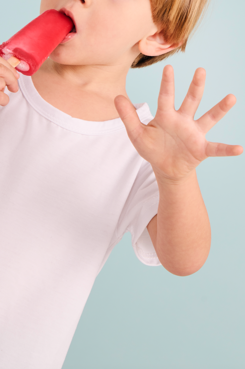 Limpador Multifuncional